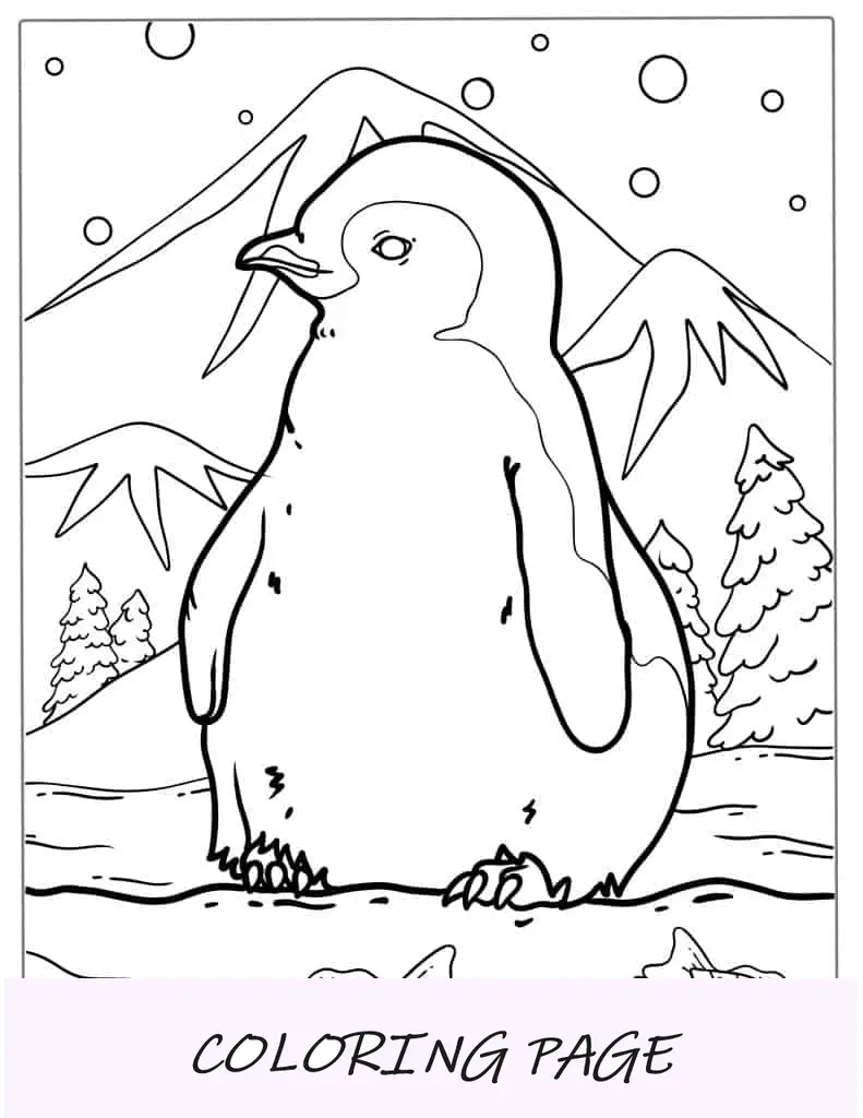 Bebê pinguim-imperador fofo para colorir