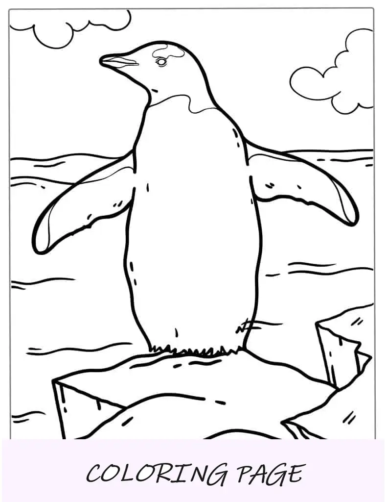 Folha para colorir Pinguim Gentoo no Ice Berg