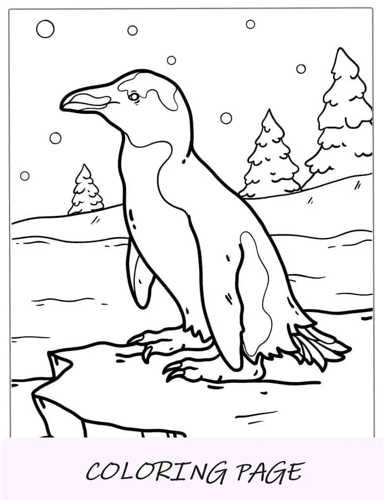 Página para colorir do pinguim de Humboldt