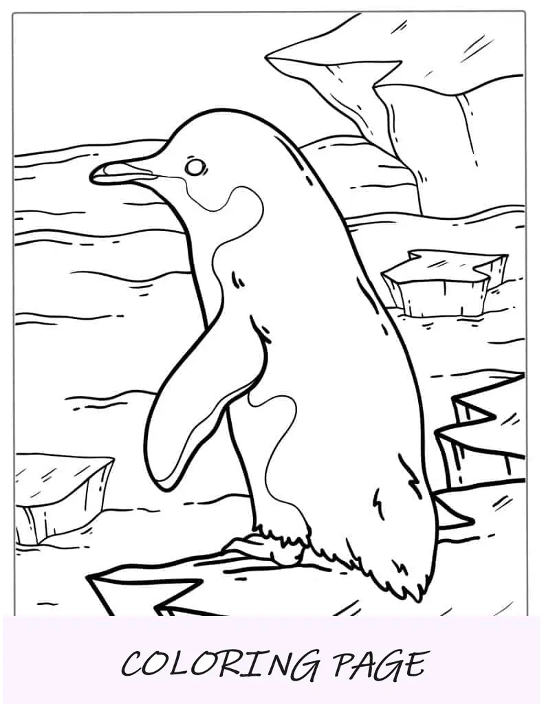 Página para colorir do pequeno pinguim azul para crianças em idade pré-escolar
