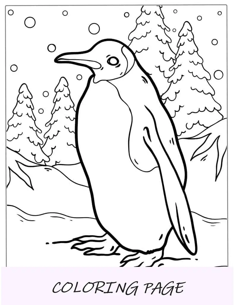 Folha para colorir do pinguim-rei para crianças