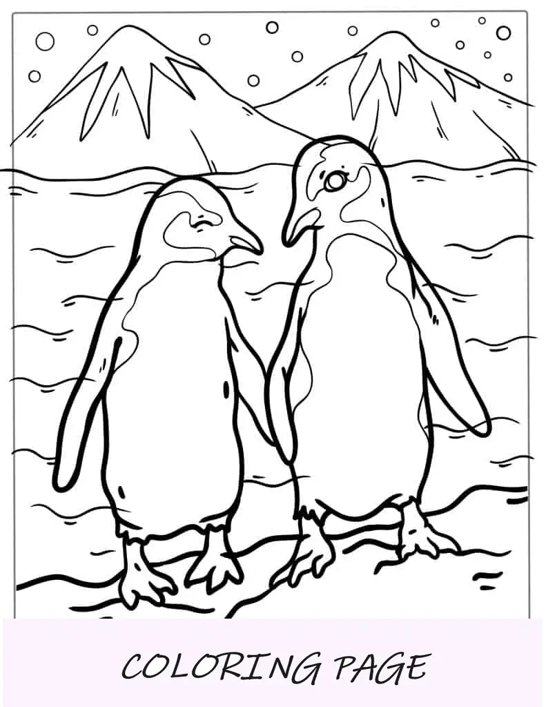 Dois pequenos pinguins australianos para colorir