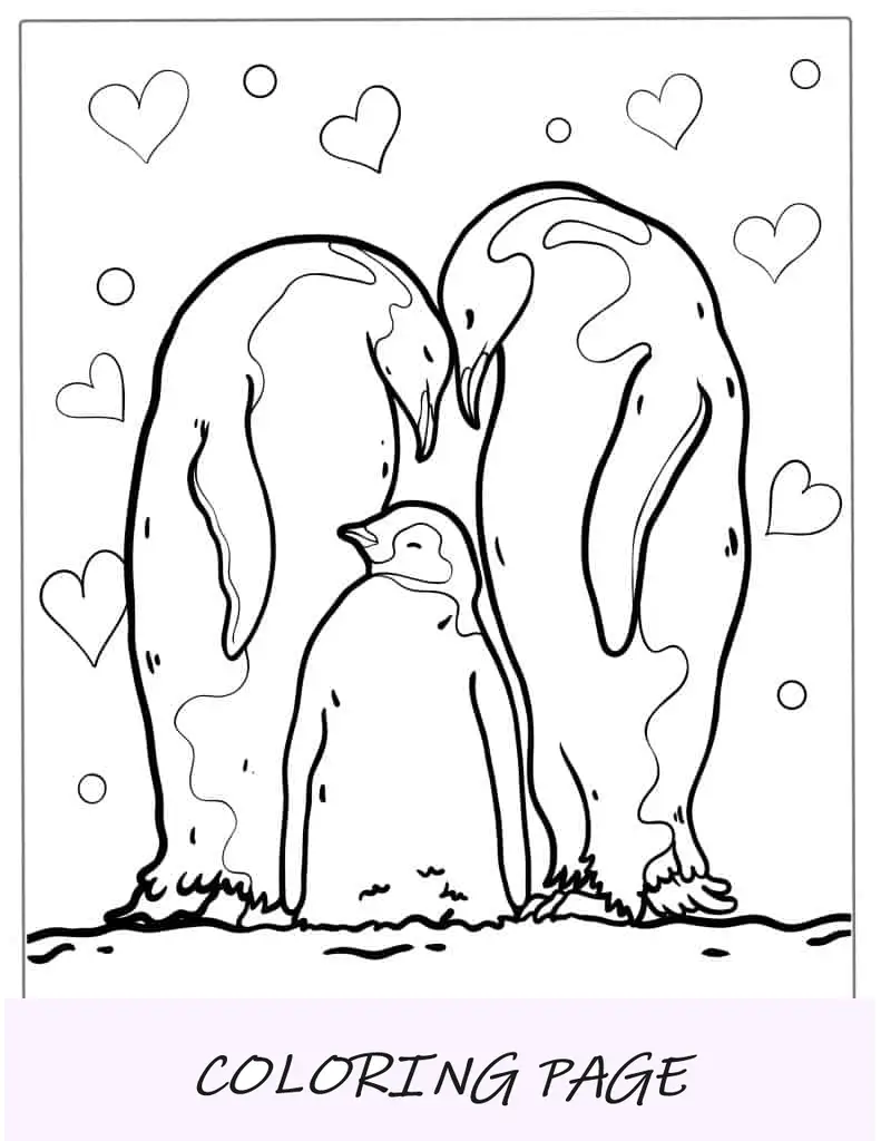 Dois pinguins-reis com coloração de bebê