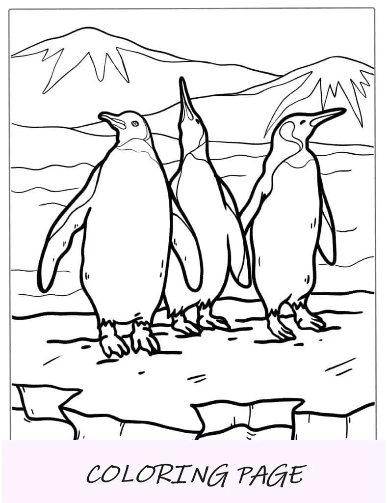 Página para colorir de 3 pinguins imperadores no gelo