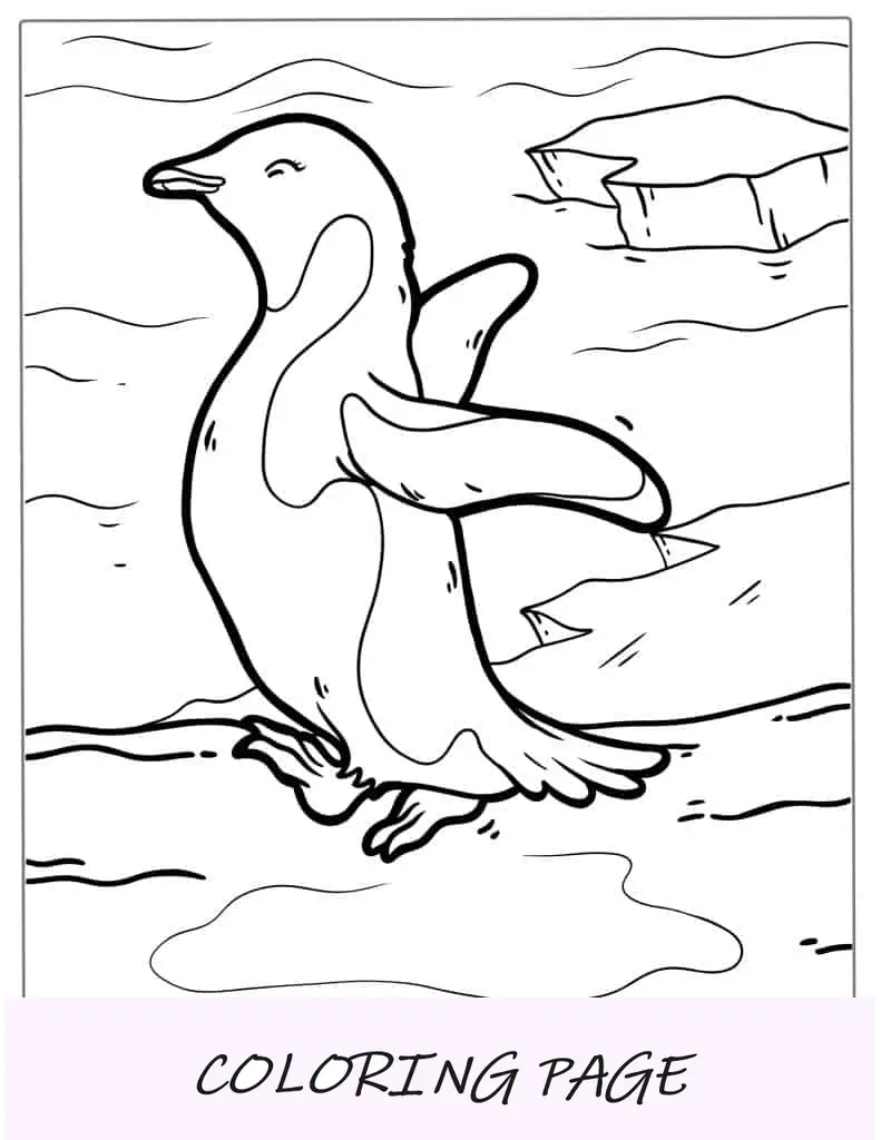 Página para colorir do pinguim Adelie