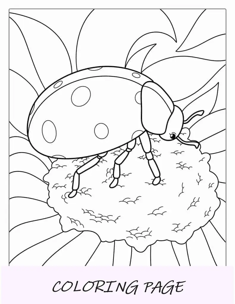 Página detallada para colorear de mariquita y margarita