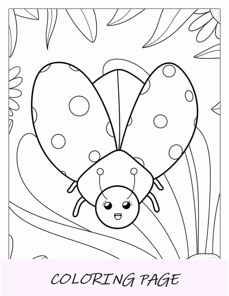 Lindo escarabajo mariquita para colorear