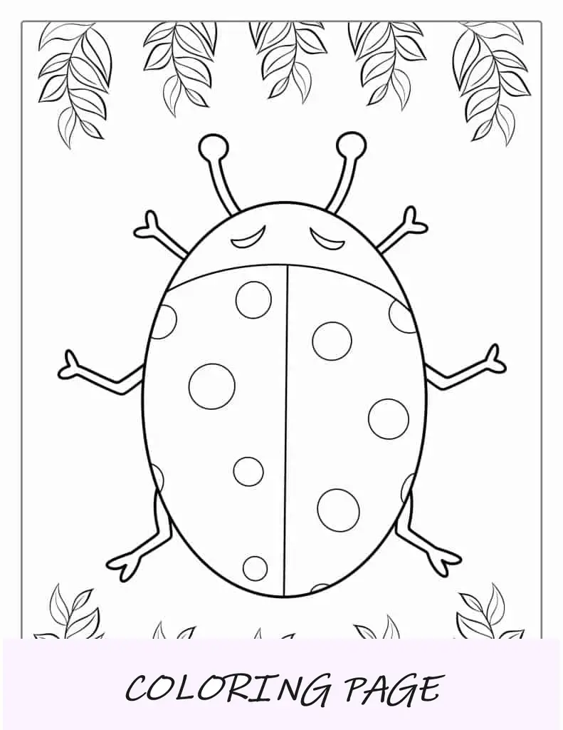 Contorno de un insecto mariquita para colorear