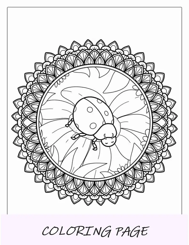 Página para colorear de mandala de mariquita para adultos