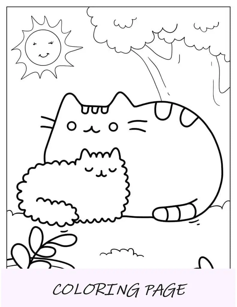 Adorable Pusheen y Stormy bajo el sol