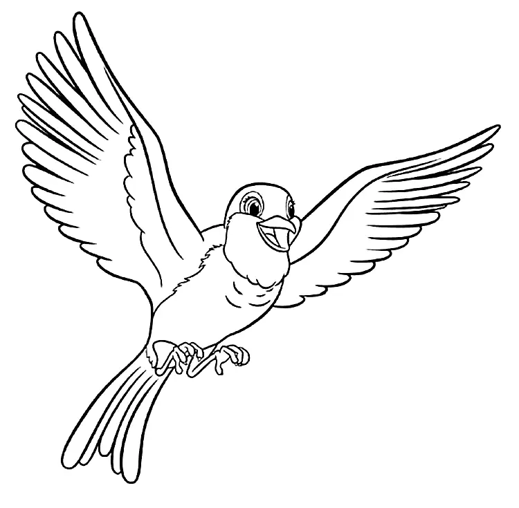Pretty Cartoon Robin Coloring Page