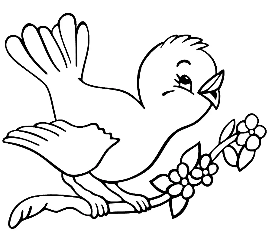 Happy Baby Bird Robin Coloring Pages