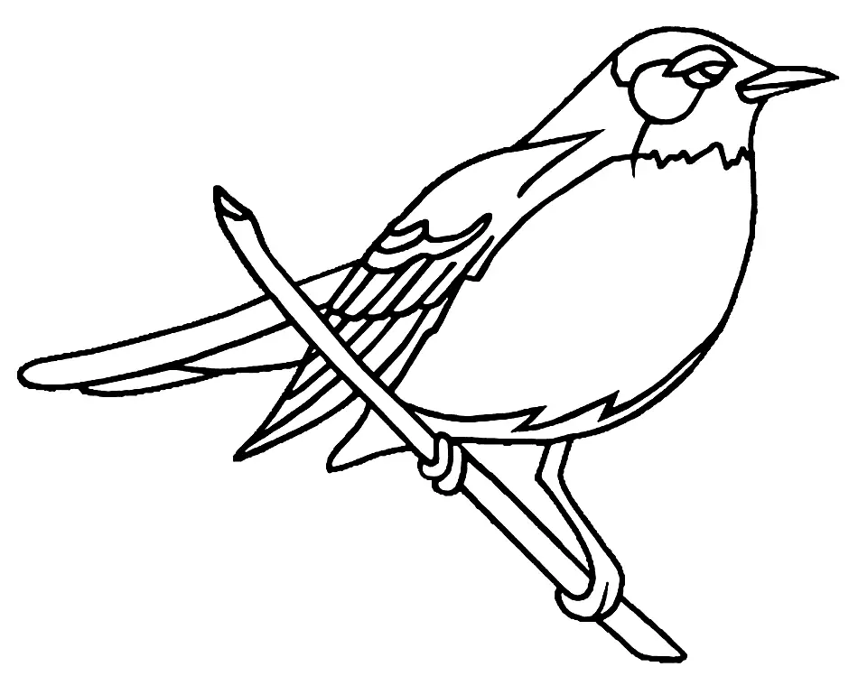 Easy Robin Coloring Pages