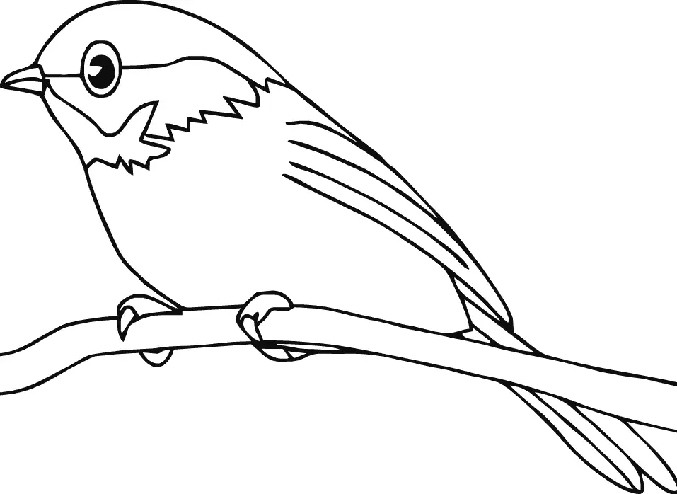 Cute Robin Easy Bird Coloring Page