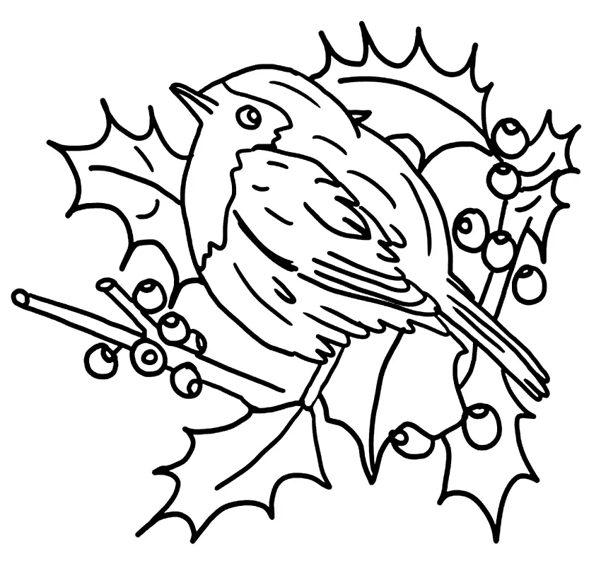 Christmas Robin On Holly Coloring Page