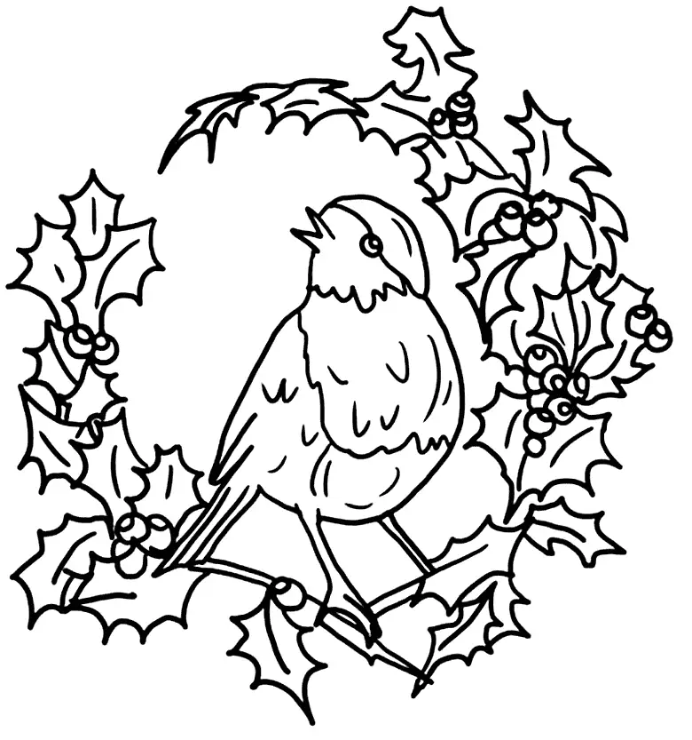 Robin On Wreath Of Holly Coloring Page