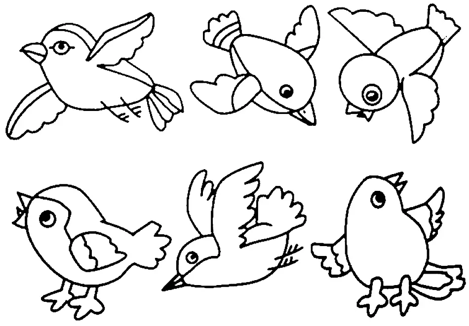 Adorable Robins Coloring Page And Craft Shapes