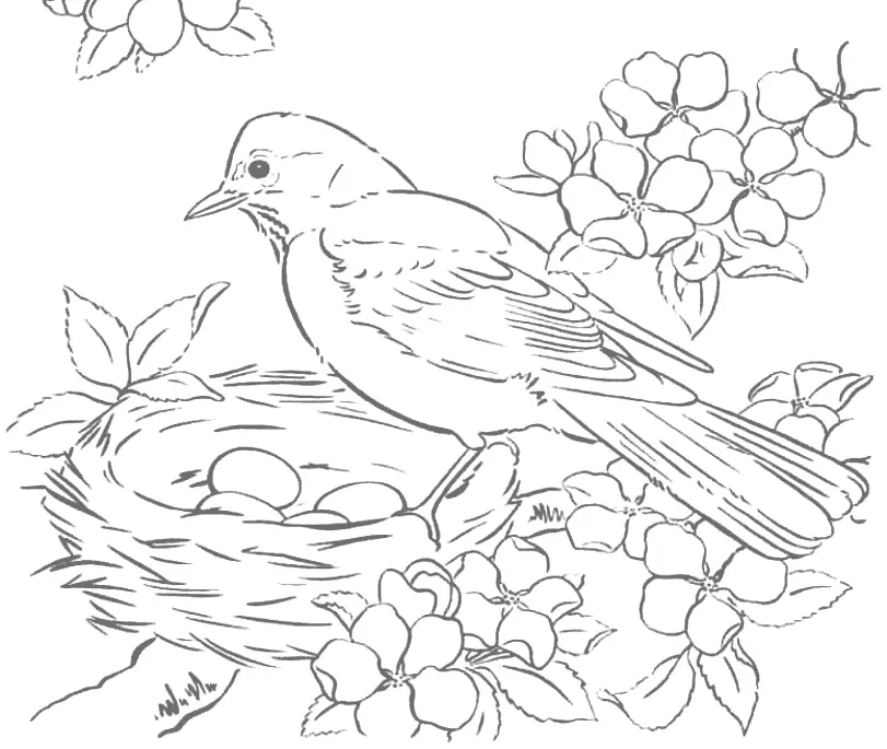 Robin And Eggs In Birds Nest Tracing Coloring Page