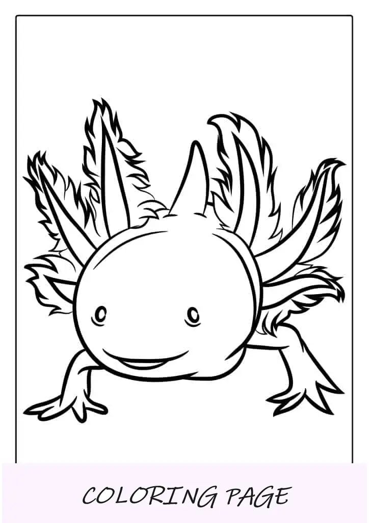 Coloração detalhada de Axolotl para adultos