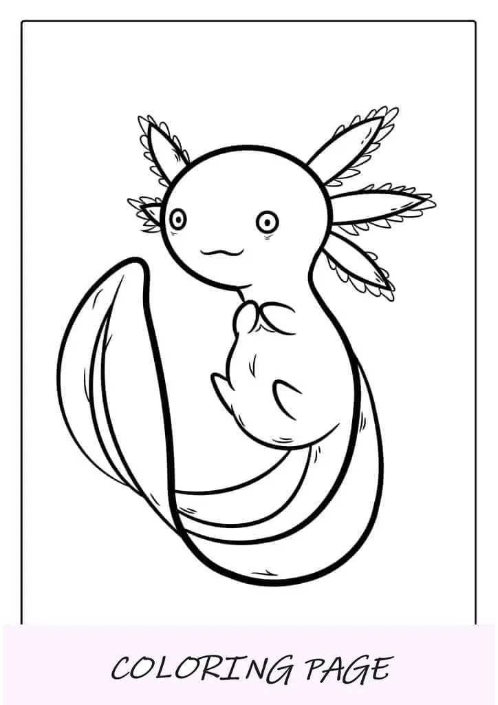 Folha para colorir de Axolotl Kawaii fofo