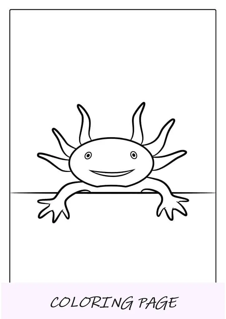 Axolotl sorridente para colorir