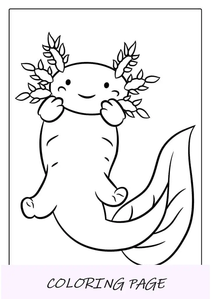 Desenho de Axolotl para colorir