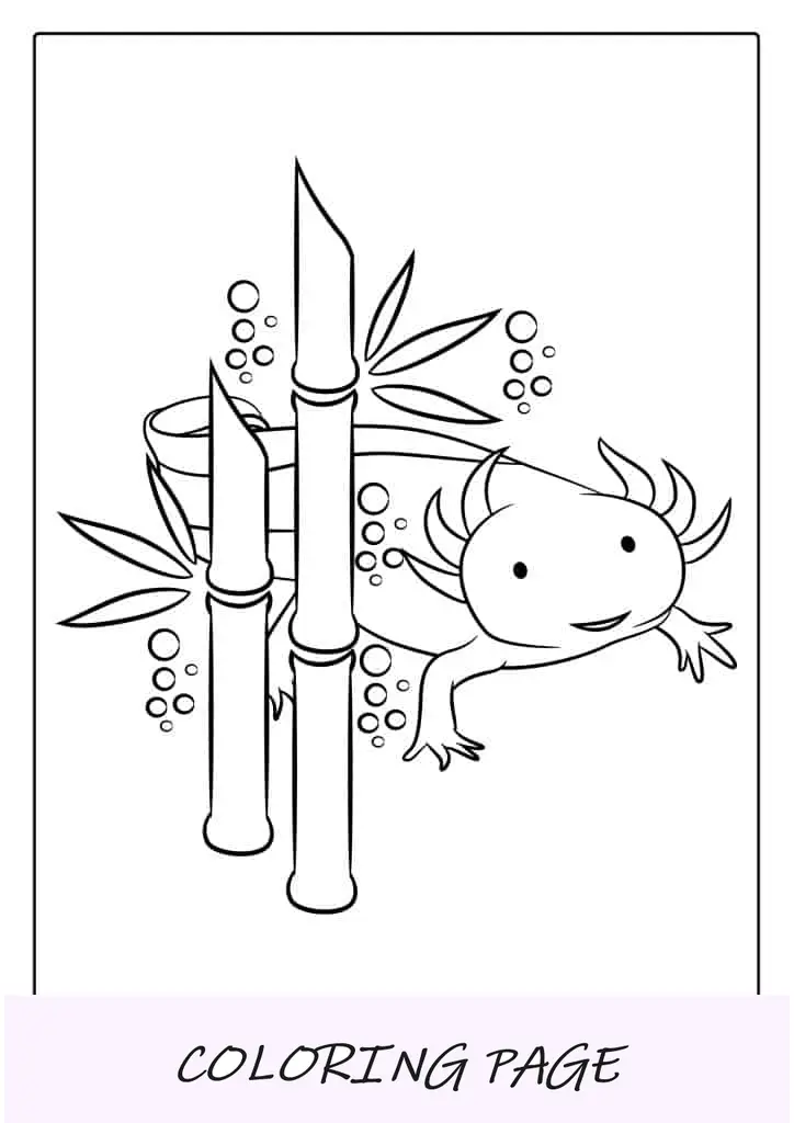 Página para colorir de Axolotl nadando em tanque (1)