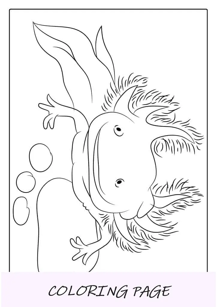 Axolotl descansando debaixo d’água