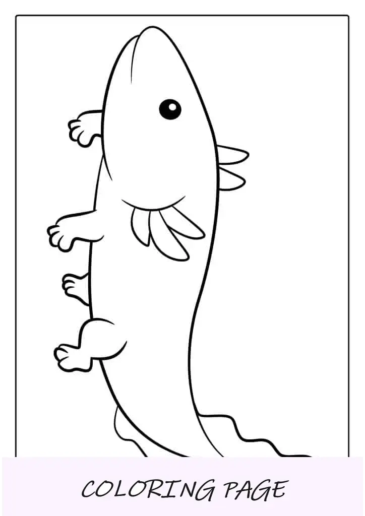 Página para colorir de Axolotl para crianças