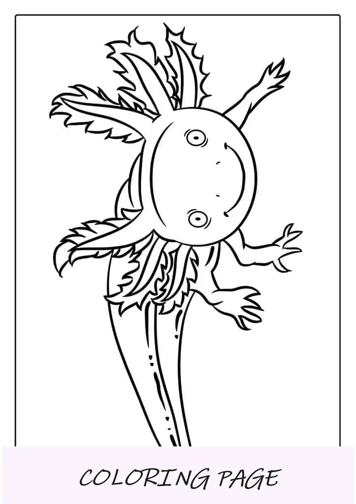 Axolotl sorrindo para colorir