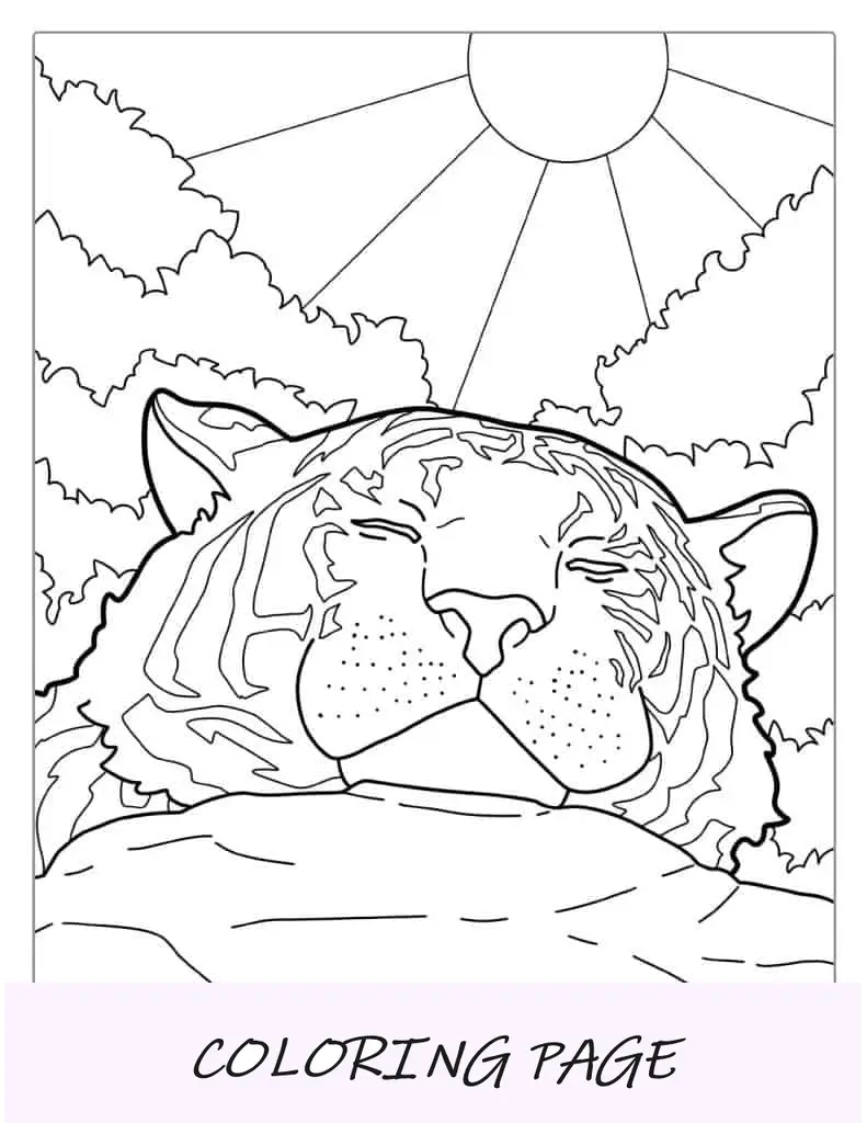 Tigre che si gode il caldo sole da colorare