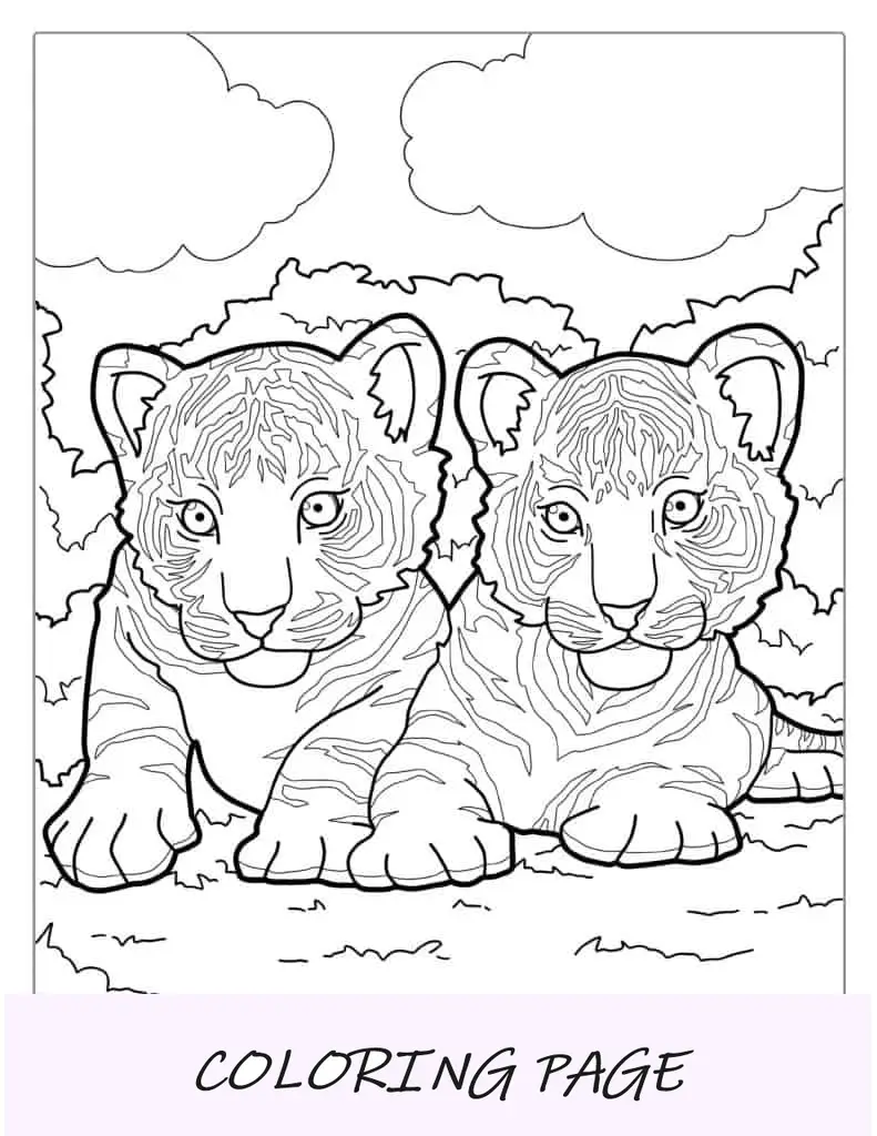 Pagina da colorare con due cuccioli di tigre in procinto di balzare