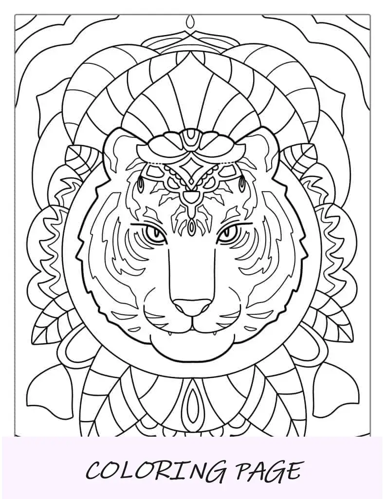 Tigre Mandala dettagliata per adulti