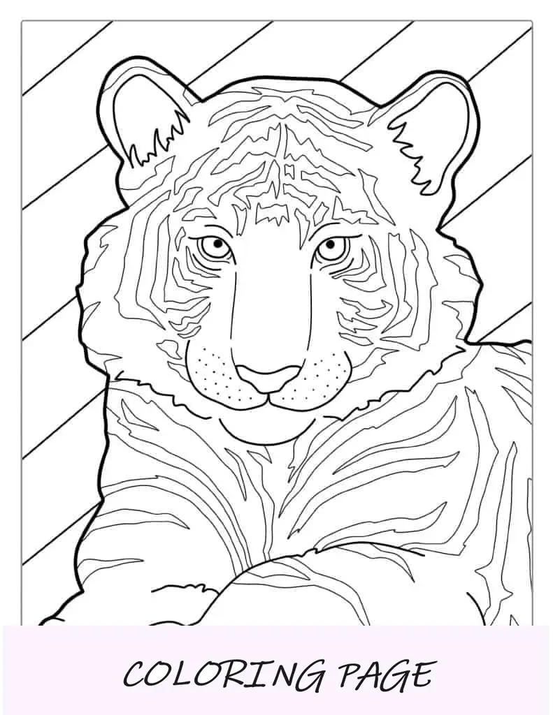 Simpatico cucciolo di tigre da colorare per bambini