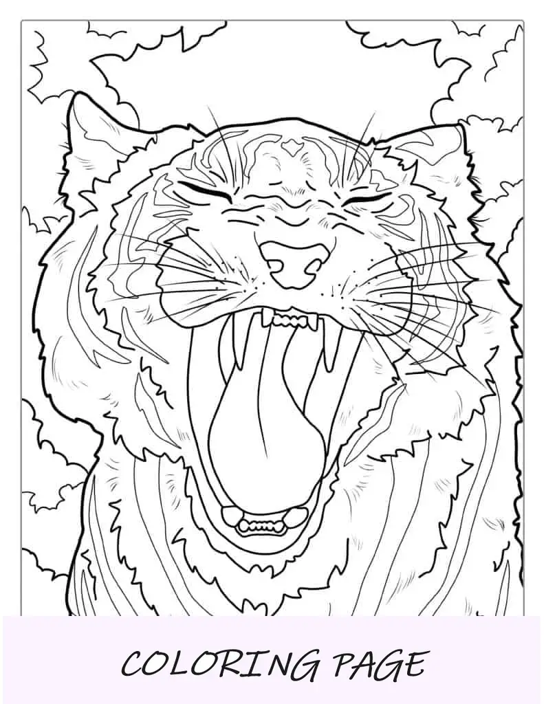 Tigre che sbadiglia con grandi zanne