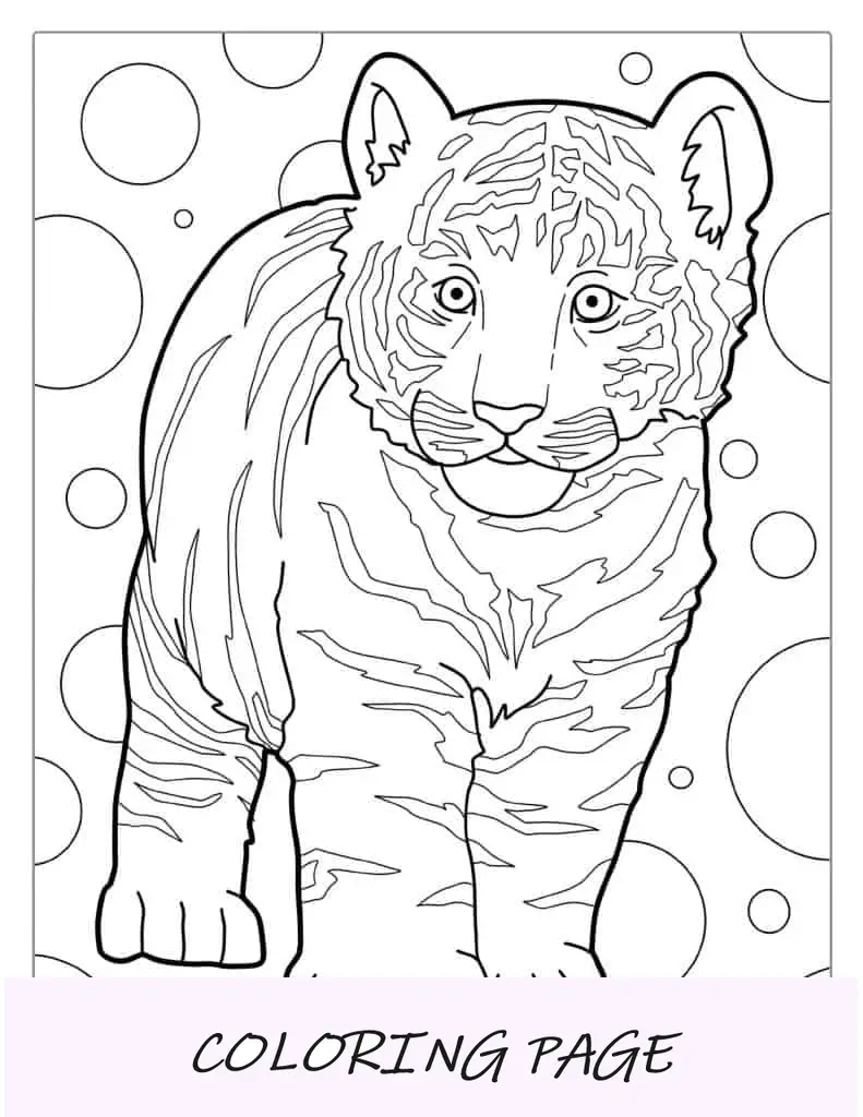 Cucciolo Di Tigre Del Bambino Con La Colorazione Di Sfondi Cerchio