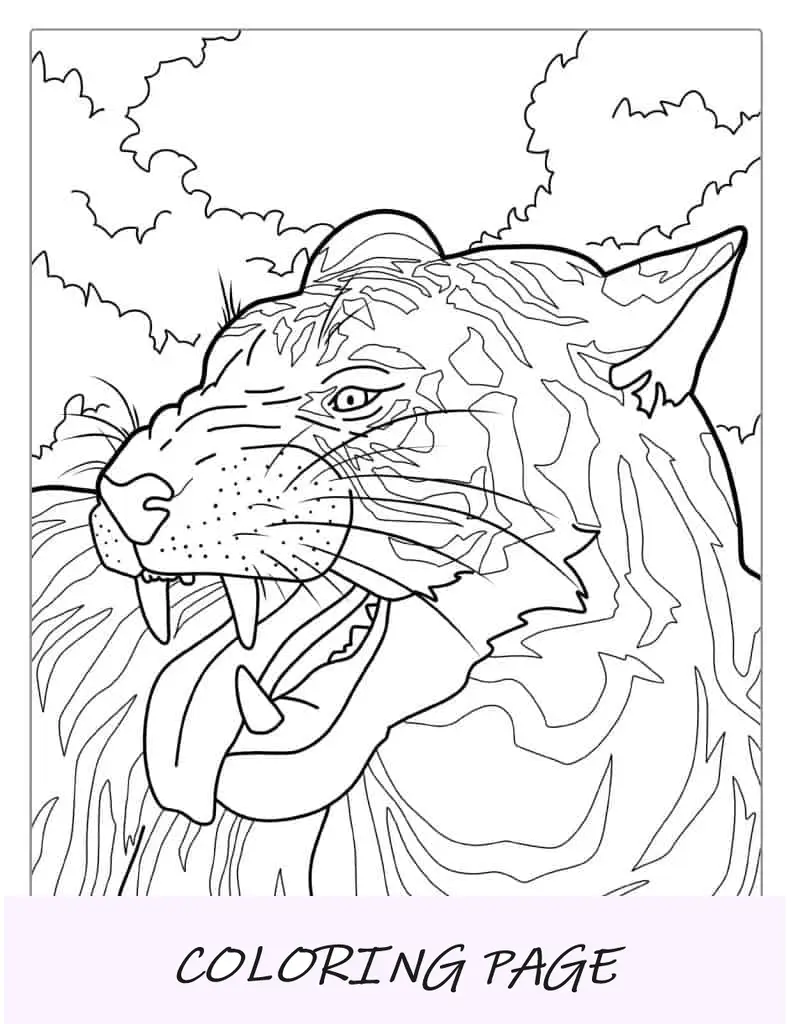 Tigre Con La Lingua Fuori Per Colore