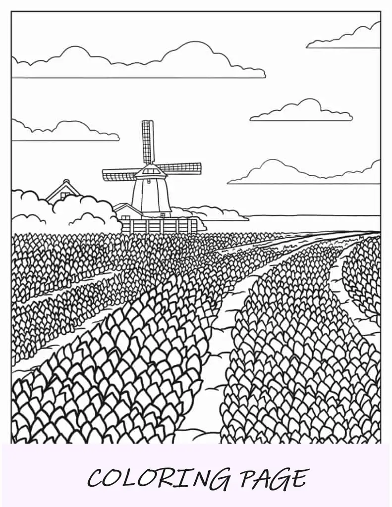 Niederländisches Tulpenfeld zum Ausmalen