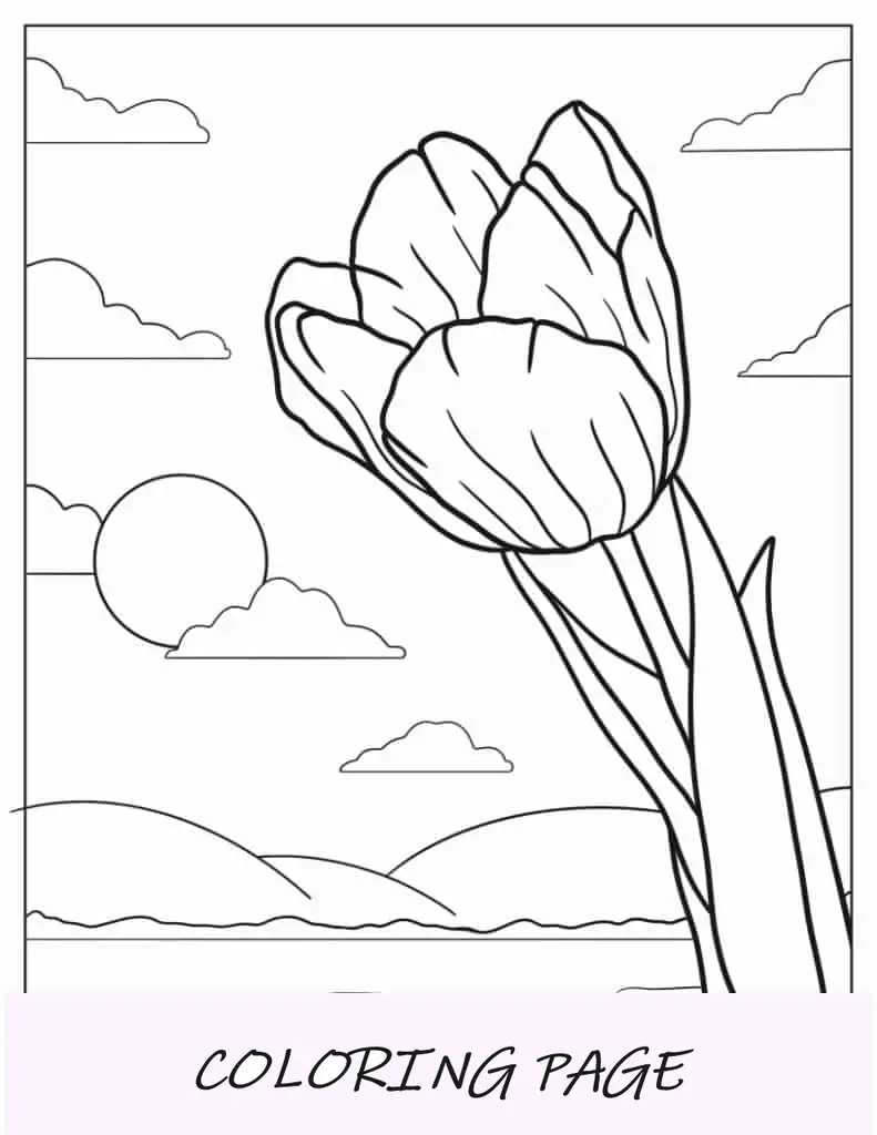 Tulpenblume wächst in der Sonne