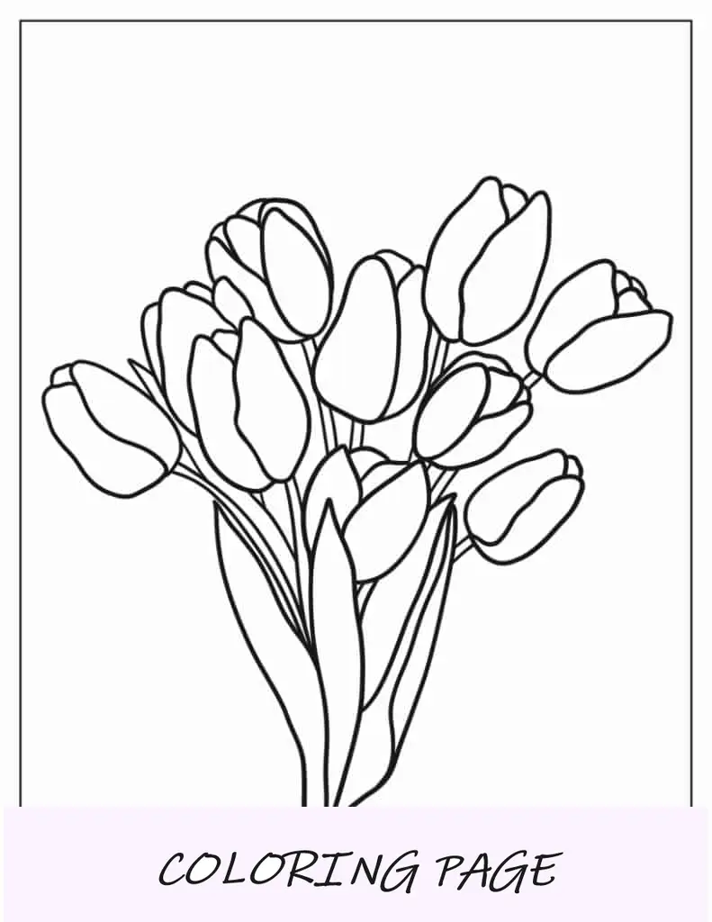 Frisch gepflückte Tulpen