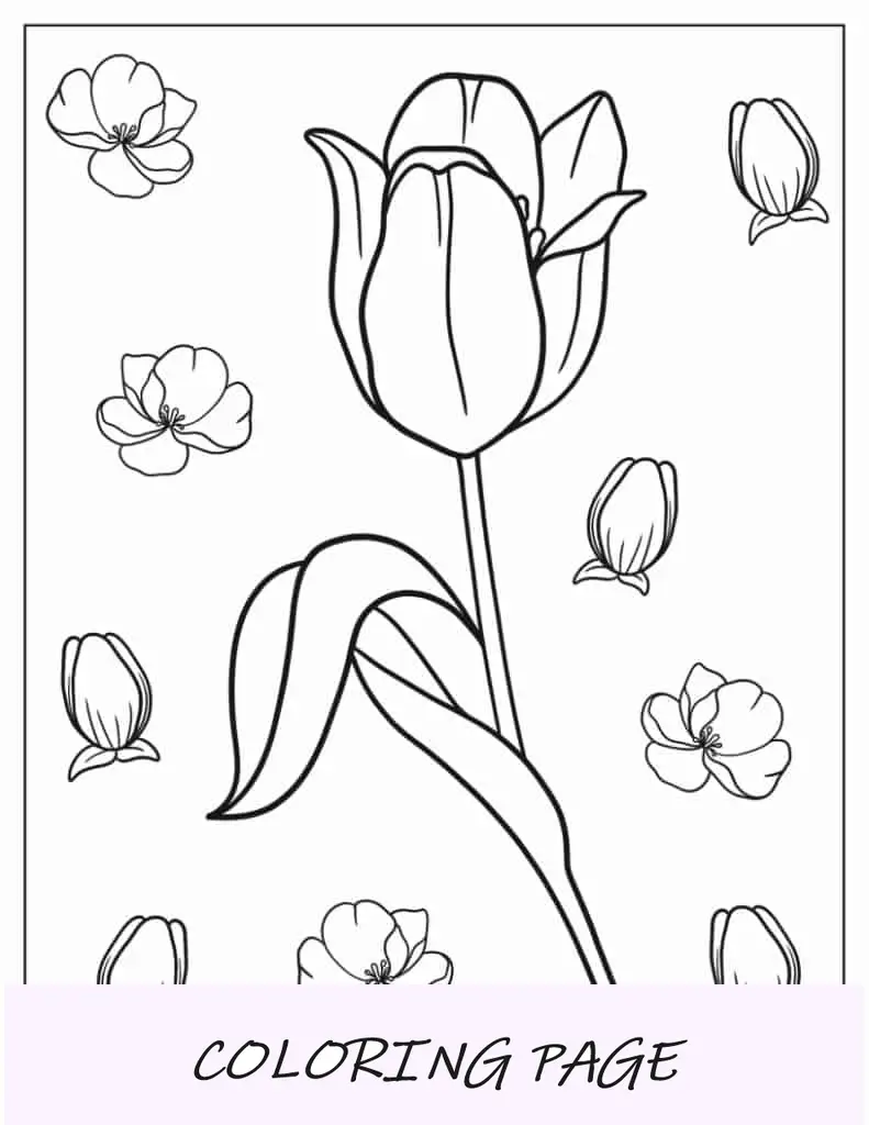 Einfacher Umriss einer einzelnen Tulpe