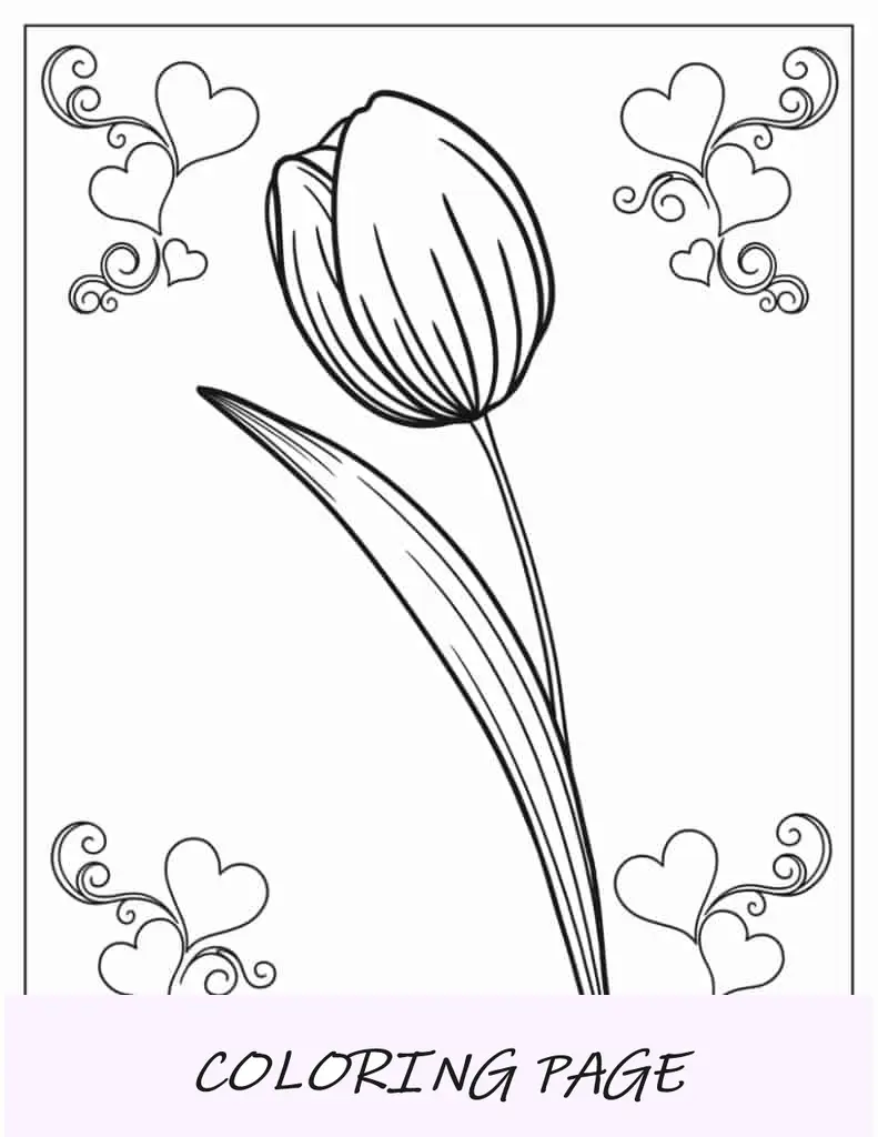 Einzelne Tulpenblüte zum Ausmalen