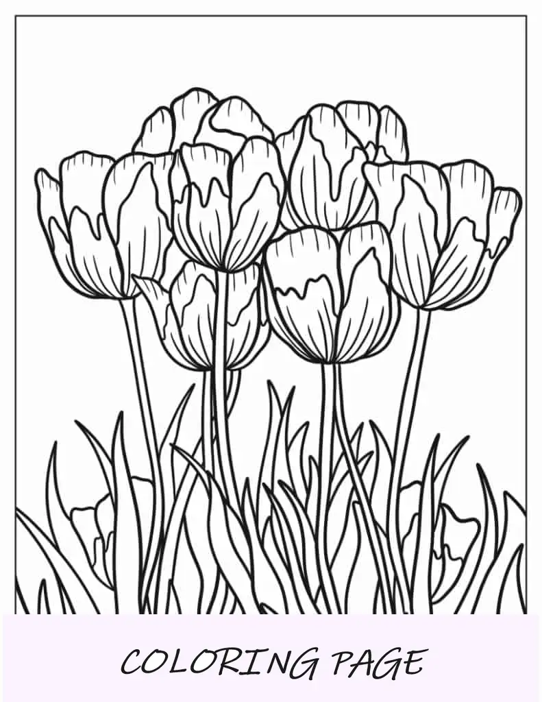 Große detaillierte Tulpen zum Ausmalen