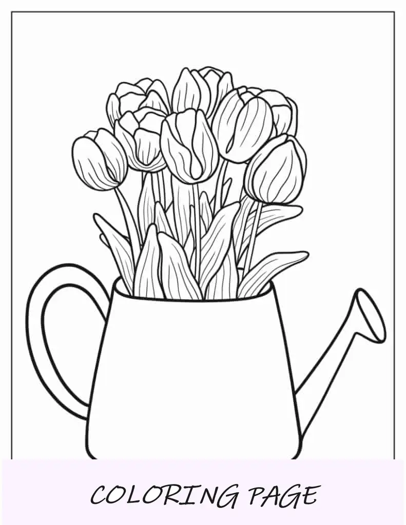 Tulpen wachsen aus der Gießkanne