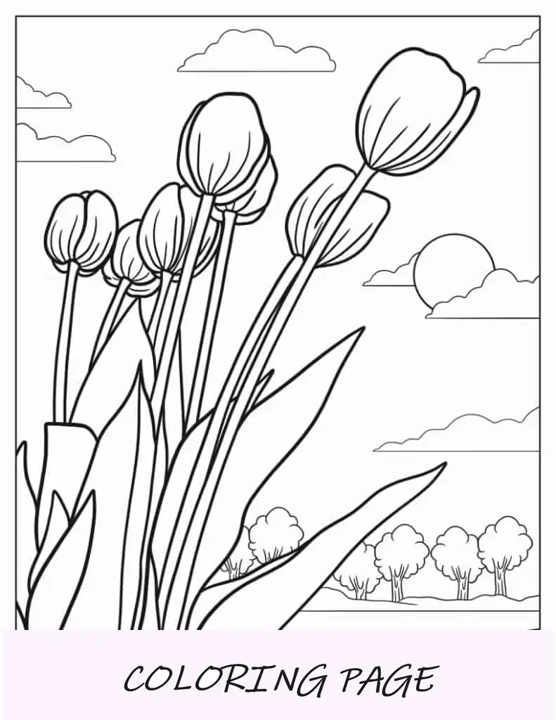 Tulpen wachsen in freier Wildbahn