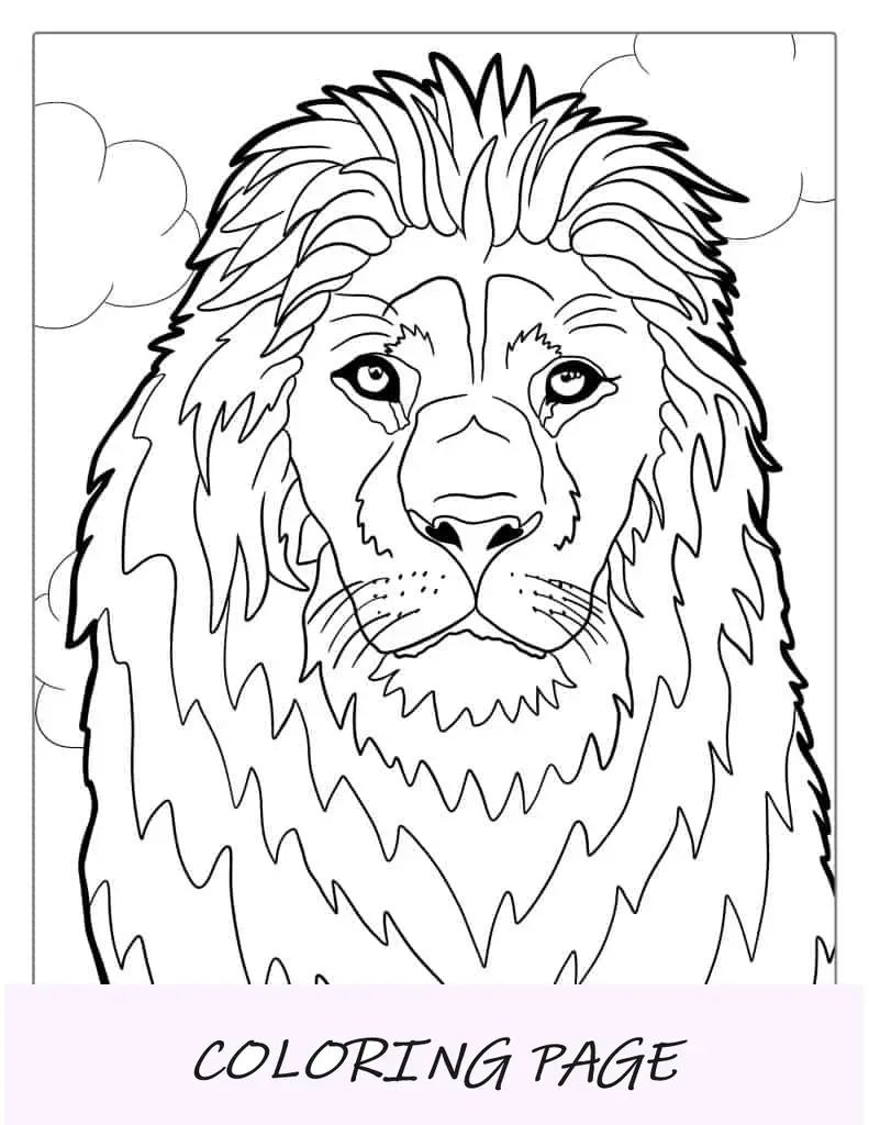 Página para colorir juba de leão