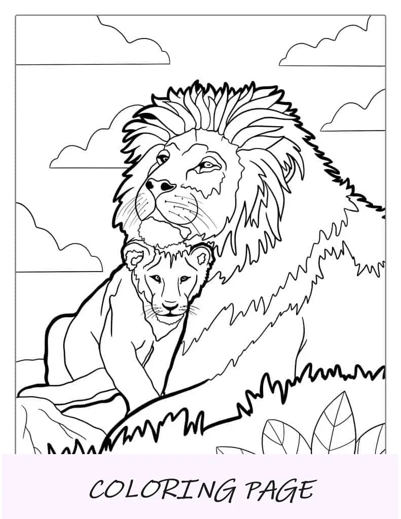Folha para colorir de leão e filhote