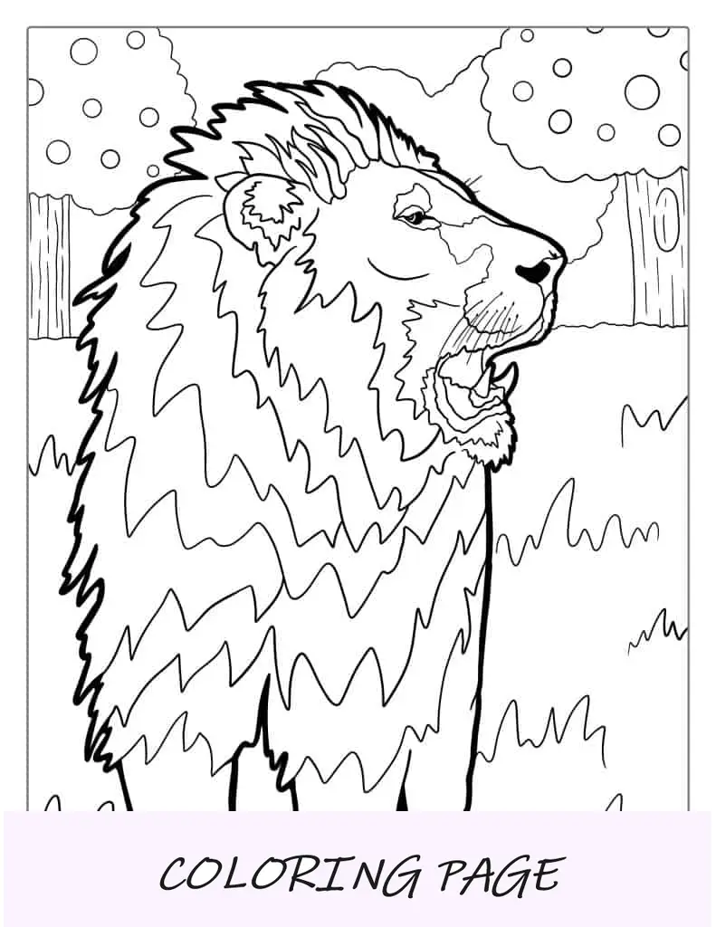 Página para colorir do leão que ruge