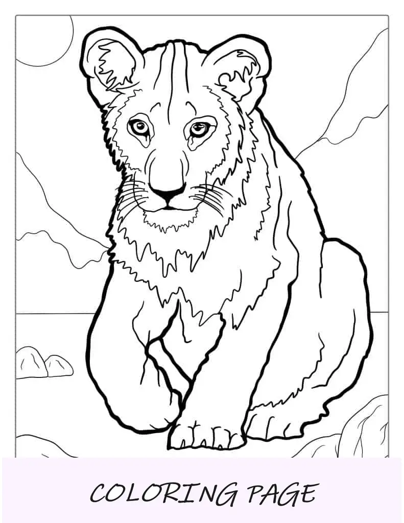 Filhote de leão fofo para colorir