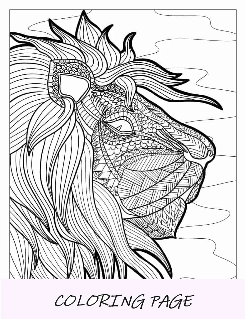 Página para colorir de mandala de leão para adultos